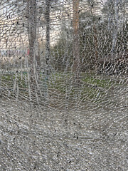 Cracked windshield view from the car interior