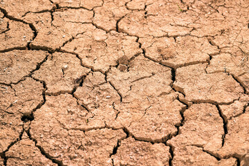 Texture of a cracked surface of a soil