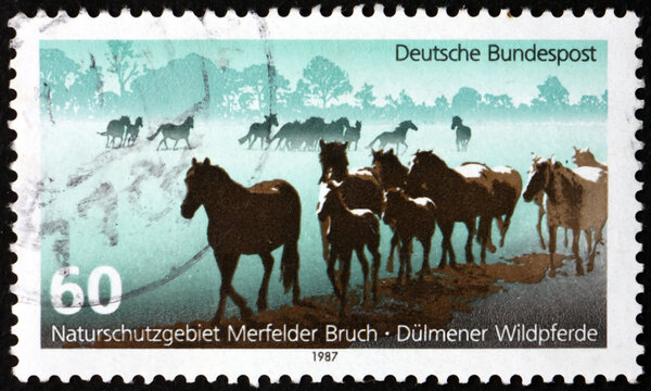 Postage stamp Germany 1987 Dulmens wild horses
