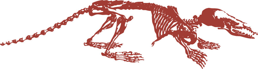 Squelette animal, vecteur pour conception graphique. 