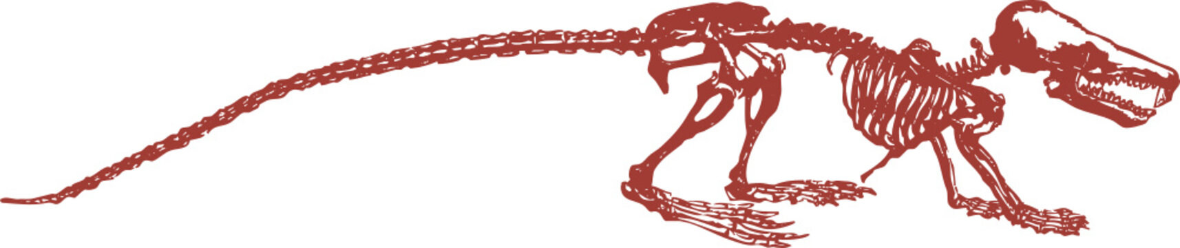 Squelette animal, vecteur pour conception graphique. 