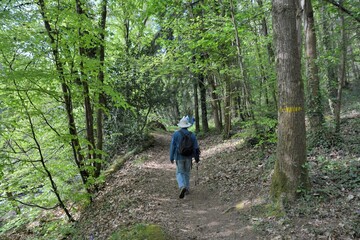 Obraz premium Hiking along the Guindy river in Brittany-France