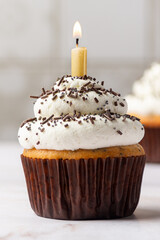 Close-up of a vanilla cupcake decorated with a topping of cream cheese, chocolate chips and poppy...