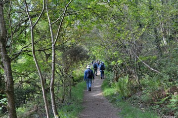 Fototapeta premium Hiking along the Guindy river in Brittany-France