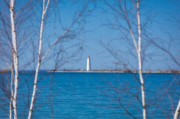 Lighthouse framed by birch trees on Georgian Bay in Collingwood Ontario 
