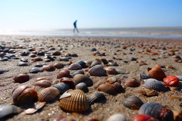 Fototapeten Many shells in the Netherlands © Vincent Andriessen