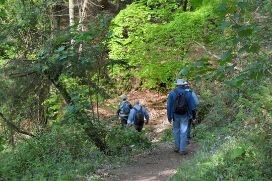 Hiking along the Guindy river in Brittany-France