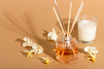 reed diffuser with flowers. Incense sticks for the home with a floral scent with hard shadows. The concept of eco-friendly fragrance for the home
