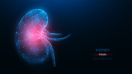 Polygonal vector illustration of an inflamed human kidney on a dark blue background. Diseases of the organs of the excretory system concept. Urological or nephrological template, or banner. - obrazy, fototapety, plakaty