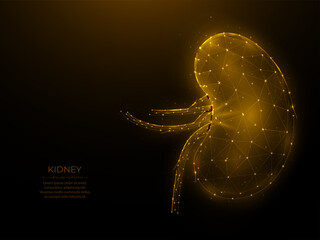 Polygonal vector illustration of human kidney on a dark background. Internal organ low poly design. Human excretory system concept. Urological or nephrological template, or banner.