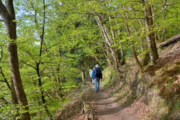 Fototapeta premium Hiking along the Guindy river in Brittany-France