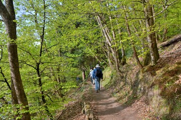 Hiking along the Guindy river in Brittany-France