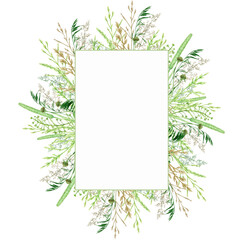 Watercolor green grass border frame, wild meadow herbal greenery illustration, cereal wild plants, floral hand drawn spring summer natural herbs isolated on white background with copy space for text
