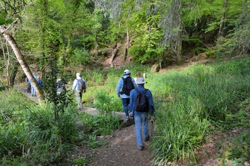 Hiking along the Guindy river in Brittany-France