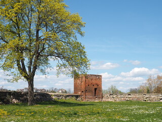 Stary mur i fragment baszty