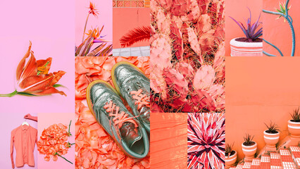 Set of trendy aesthetic photo collages. Minimalistic images of one top color. Pink moodboard