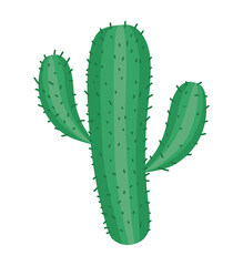 cactus with spines