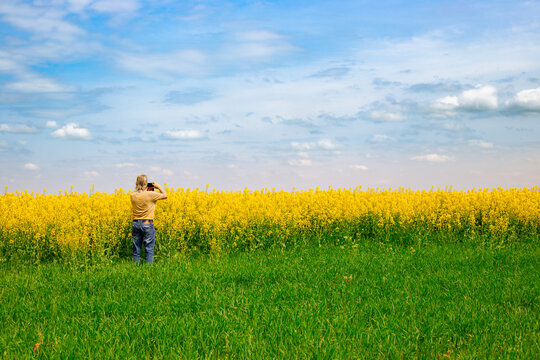 A man with a phone stands on the edge of a flowering rapeseed field and photographs the landscape