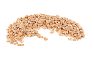 wheat grains isolated on white background