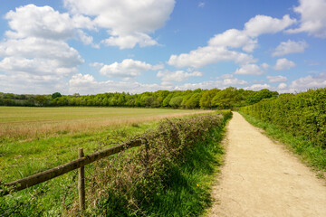 Fototapeta na wymiar Countryside path next to farm field. Scenic view over rural farmland during spring. 