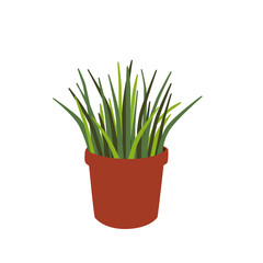 Grass in a brown flower pot isolated on a white background. Vector icon of a houseplant.