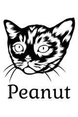  Peanut Black White Vector suitable for logo