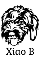  Xiao B Black White Vector suitable for logo