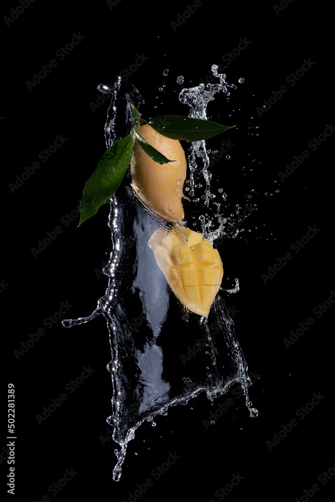 Canvas Prints Mango with water splashing on black background