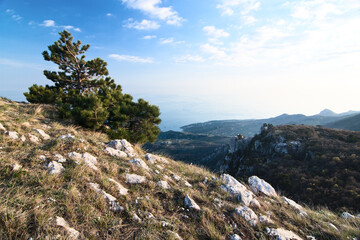 A wonderful and unusually beautiful landscape overlooking the high plateau of the Crimean mountains. Clean and reasonable nature of Crimea. Ukraine, territory occupied by the Russian Federation.