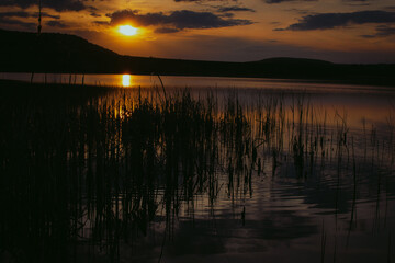 Dusk sunset over a water reservoir (lake or river) with scirpus silhouette