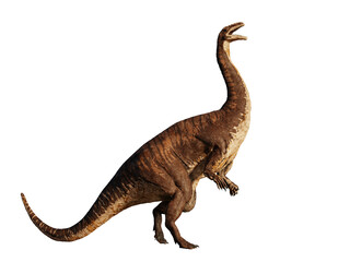 Plateosaurus, bipedal dinosaur from the Late Triassic period, isolated on white background  © dottedyeti