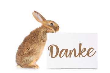Cute rabbit and paper with word DANKE (German for Thanks) on white background