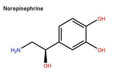 Norepinephrine, also called noradrenaline or noradrenalin, is an organic chemical in the catecholamine family that functions in the brain and body as both a hormone and neurotransmitter.