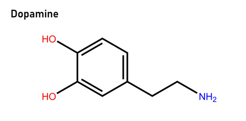 Dopamine is a neuromodulatory molecule that plays several important roles in cells. It is an organic chemical of the catecholamine and phenethylamine families.