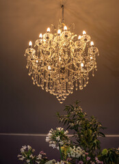 elegant ceiling lamp at a wedding