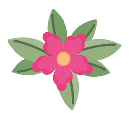 purple flower illustration