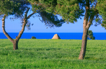 Typical trullo on the coast in Apulia, Italy. Costa of Trulli Ripagnola near Polignano. - obrazy, fototapety, plakaty