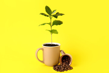 Beautiful coffee tree in cup and beans on yellow background