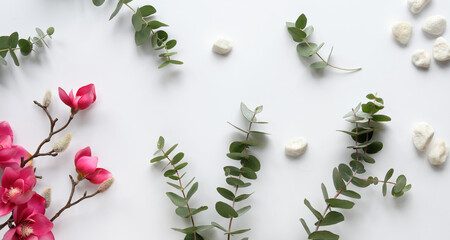 Pink magnolia flowers on twigs, fresh eucalyptus leaves and white stones. Copy-space, place for greeting text. Chinese new year. Top view, off white background.