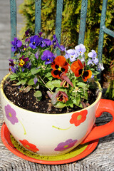 Flowers in a pot outdoors.