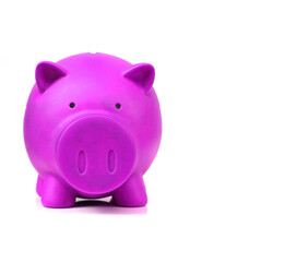piggy bank isolated in white background.