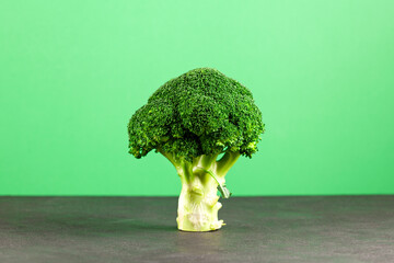 Large Broccoli cabbage in form of abstract tree on green background. Fresh vegetable, Organic food....