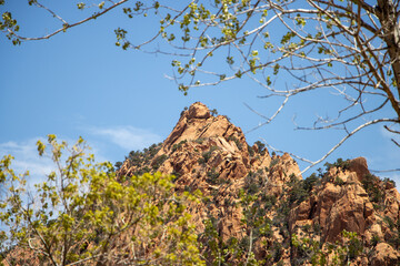 Kannarra Falls Landscape