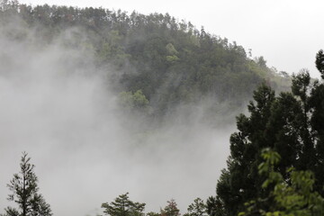 Obraz na płótnie Canvas foggy mountain