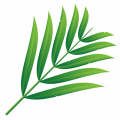 green leaf isolated on white background	