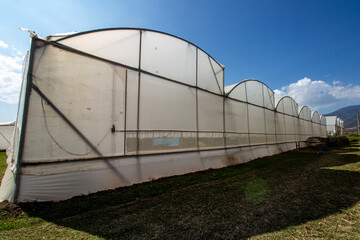 Fototapeta na wymiar Greenhouses in Production