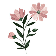 pink flowers illustration
