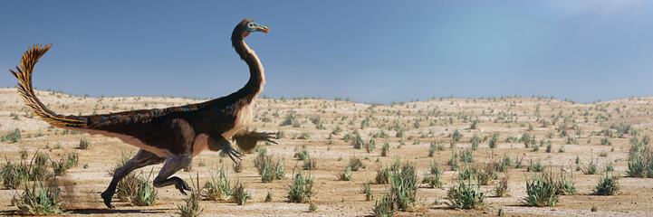 Gallimimus, fast running theropod dinosaur that lived during the Late Cretaceous period, background banner  © dottedyeti