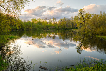 Fototapeta premium Peaceful pond at sunset in the idyllic Snoqualmie Valley near Seattle in the Pacific Northwest with the trees and clouds reflecting in the calm water