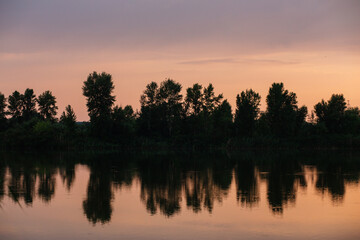 sunset over the lake against the background of black trees in a sepia shade. Ukraine